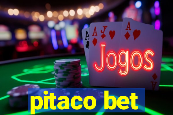 pitaco bet